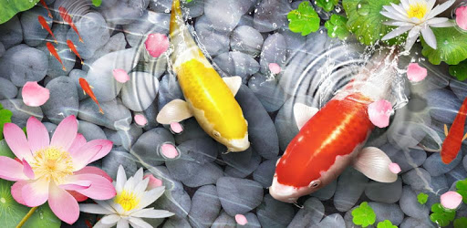 Fish Live Wallpaper 3D: Lively Koi Fish Background pc screenshot Fish Live Wallpaper 3D: Lively Koi Fish Background pc screenshot