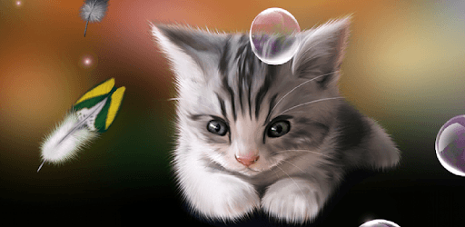 Sleepy Kitten Wallpaper Lite pc screenshot Sleepy Kitten Wallpaper Lite pc screenshot