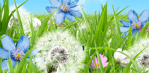 Summer Flowers Wallpaper pc screenshot Summer Flowers Wallpaper pc screenshot