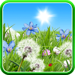 Summer Flowers Wallpaper icon