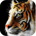 Big Cats Live Wallpapers icon