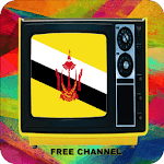 Brunei Channel icon