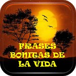 Pretty Life Phrases icon