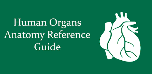 Human Organs Anatomy Reference Guide pc screenshot Human Organs Anatomy Reference Guide pc screenshot