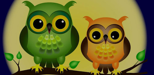 Cute Owl Theme pc screenshot Cute Owl Theme pc screenshot