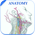 Gray's Anatomy - Atlas || Offline || Free icon
