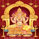 Maa Baglamukhi Chalisa & Stuti icon