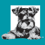 Maddie's Pet Assistant icon