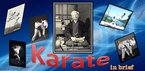 Karate in brief pc screenshot Karate in brief pc screenshot