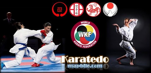 Karate WKF pc screenshot Karate WKF pc screenshot