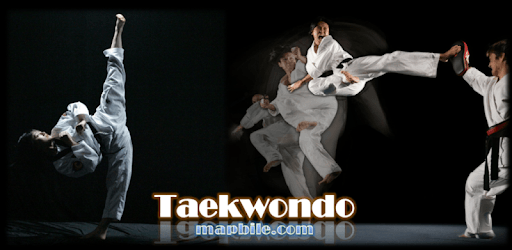Taekwondo WTF pc screenshot Taekwondo WTF pc screenshot