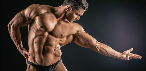 Bodybuilding Wallpapers HD pc screenshot