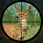 Forest Deer Hunting icon