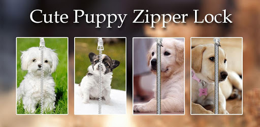 Cute Puppy Zipper Lock pc screenshot Cute Puppy Zipper Lock pc screenshot
