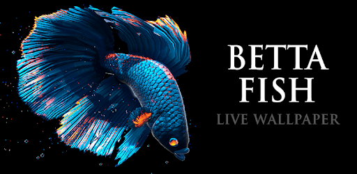 Betta Fish Live Wallpaper FREE pc screenshot Betta Fish Live Wallpaper FREE pc screenshot