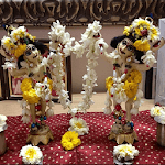 Vaishnava Bhajans icon