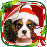 Christmas Animals Live Wallpaper icon