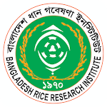 Rice Knowledge Bank icon