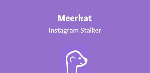 Meerkat - Stalker for Instagram pc screenshot