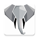 Memory Assistant icon