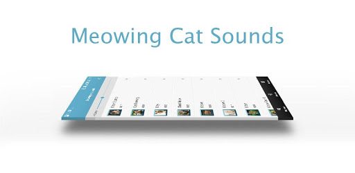 Meowing Cat Sounds pc screenshot Meowing Cat Sounds pc screenshot