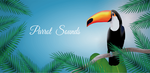 Parrot Nature Sounds pc screenshot Parrot Nature Sounds pc screenshot