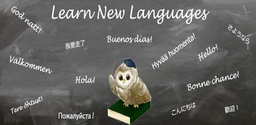 Learn Arabic pc screenshot