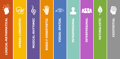 Multiple Intelligences Test pc screenshot