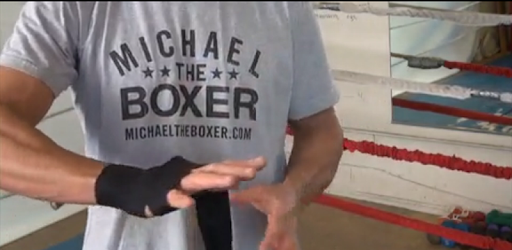 Boxing Trainer pc screenshot