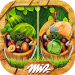 Find the Difference Gardens – Casual Games for pc icon Find the Difference Gardens – Casual Games for pc icon