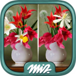 Find the Difference Flowers – Spot the Differences icon