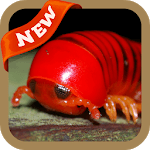 Millipede Wallpaper icon
