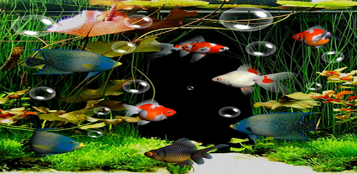 Aquarium Live Wallpaper Free pc screenshot