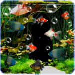 Aquarium Live Wallpaper Free icon