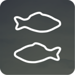 When to Fish icon