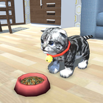 Cute Kitten Pet icon