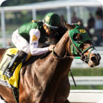 Horse Racing Championship 3D & Jumping Stunts 18 for pc icon Horse Racing Championship 3D & Jumping Stunts 18 for pc icon