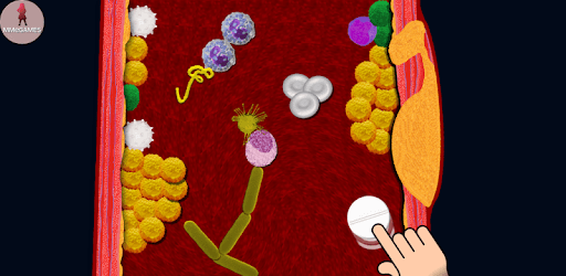 Lower cholesterol pc screenshot Lower cholesterol pc screenshot