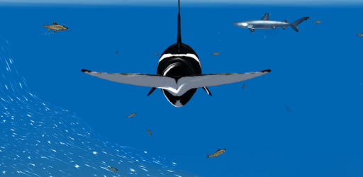 Orca Whale Simulator 3D pc screenshot Orca Whale Simulator 3D pc screenshot