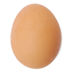 CookEgg Timer icon
