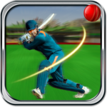 Cricket t20 2018 icon