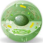 Dictionary of Biology icon