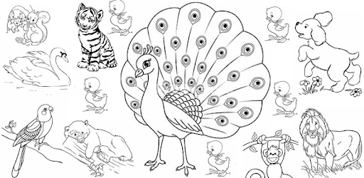 Drawing Animals pc screenshot