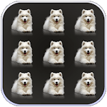 Pets Dogs Pattern Lock Screen for pc icon Pets Dogs Pattern Lock Screen for pc icon