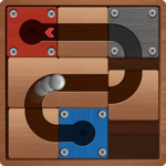 Moving Ball Puzzle icon