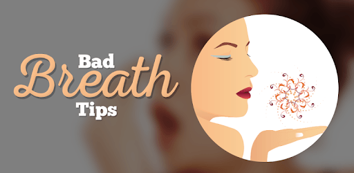 Prevent Bad Breath pc screenshot Prevent Bad Breath pc screenshot