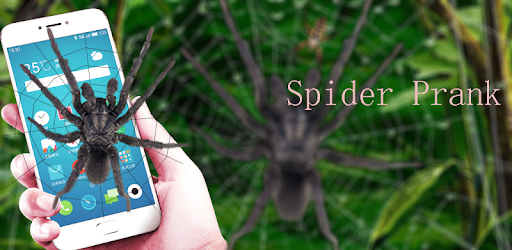 Real Spider Crawl In Screen Prank pc screenshot