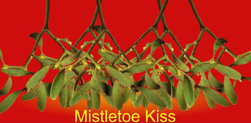 Mistletoe Kiss pc screenshot