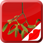 Mistletoe Kiss icon