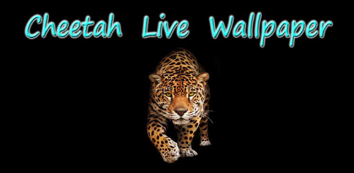 Cheetah Live Wallpaper pc screenshot Cheetah Live Wallpaper pc screenshot